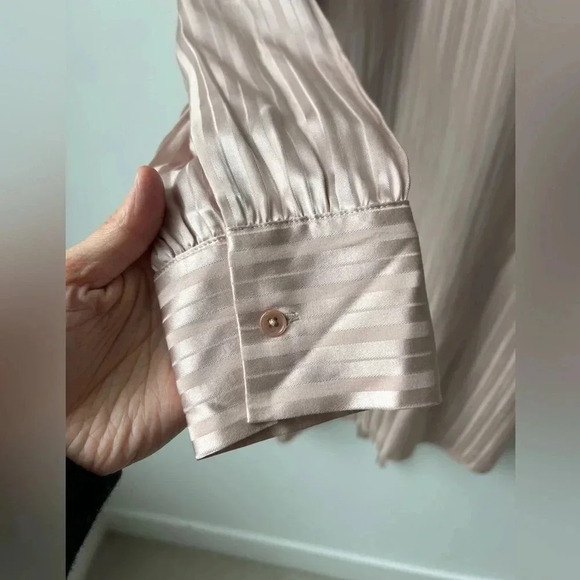 Aritzia Wilfred Silk Pink Stripe Lined Long Sleeves Gaillard Dress - Picture 7 of 12